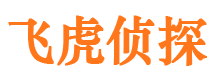 台山侦探